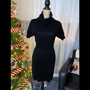 Loft Sweater Dress
